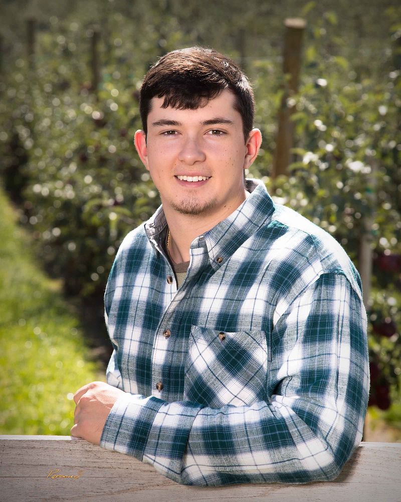 Senior in a plaid shirt leaning on a fence in an orchard